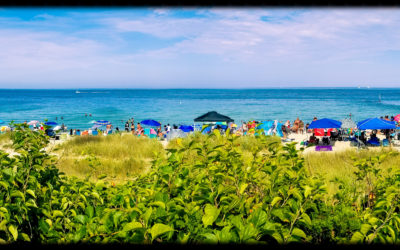 Martha’s Vineyard Part One: No One Loves A Shady Beach